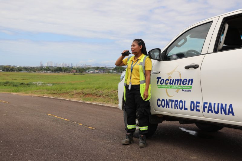 Tocumen refuerza medidas preventivas ante aves migratorias